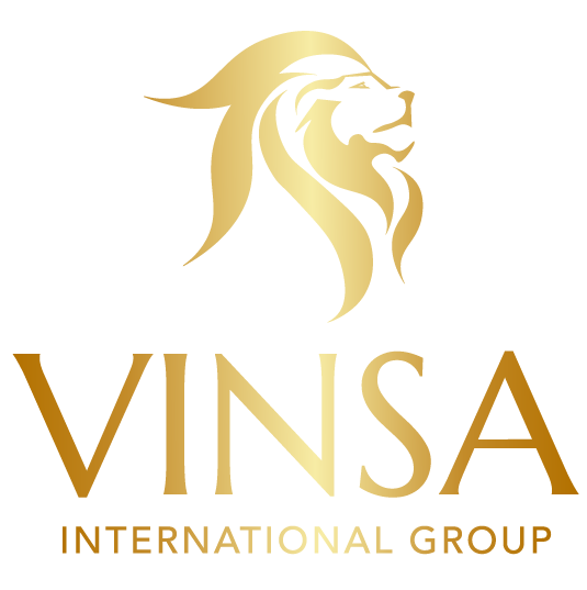 vinsa.com.mx
